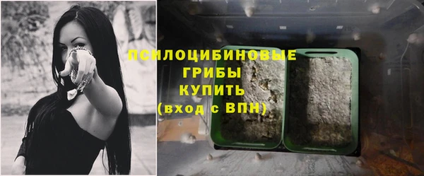 прущие крисы Абинск