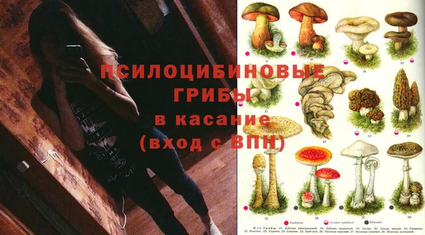 трава Абаза