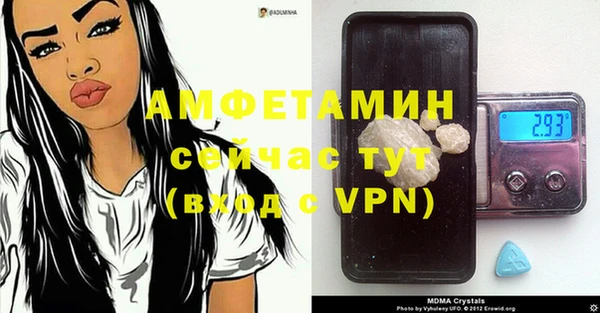 винт Алзамай