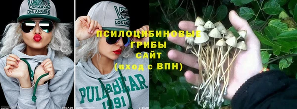 трава Абаза