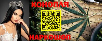 прущие крисы Лесосибирск