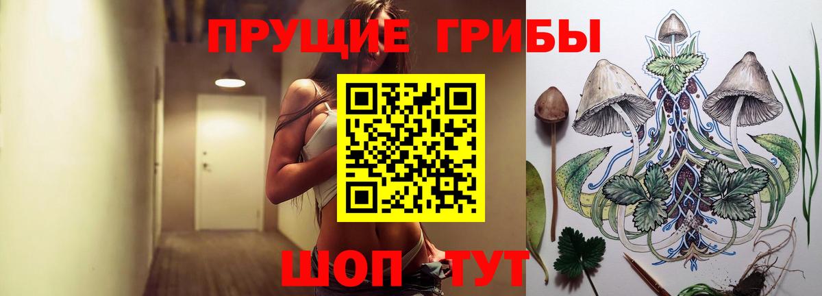 продажа наркотиков  Псилоцибиновые грибы прущие грибы  Вход с VPN  Югорск  Псилоцибиновые грибы Psilocybe 